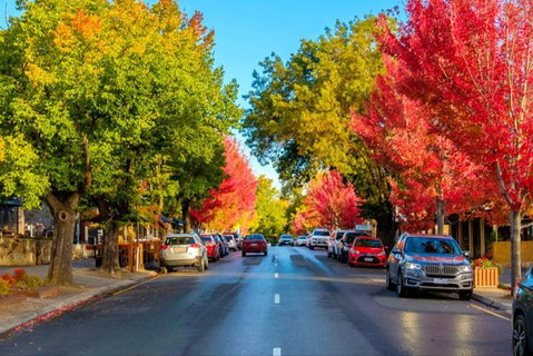 Barossa Valley Full-Day Tour From Adelaide With Maggie Beer Farm - Accommodation QLD 6