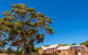 McLaren Vale And Glenelg Wine Tasting And Sightseeing (Half-day Afternoon) - thumb 2