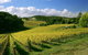 McLaren Vale And Glenelg Wine Tasting And Sightseeing (Half-day Afternoon) - thumb 6