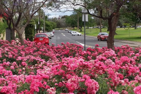 Adelaide Walking Tour: Hills, Squares And Parklands - Accommodation QLD 6