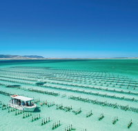 Coffin Bay Private Day Tour from Port Lincoln - A Taste of Coffin Bay - Accommodation QLD