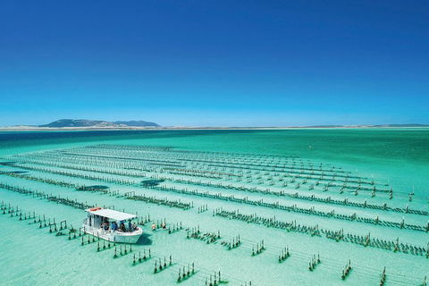 Coffin Bay Private Day Tour From Port Lincoln - A Taste Of Coffin Bay - Accommodation QLD 0