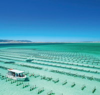 Coffin Bay Day Tour - A Taste of Coffin Bay - Accommodation QLD