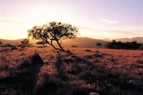 Adelaide To Coober Pedy 7 DAY SMALL GROUP 4WD SAFARI - Accommodation QLD 0