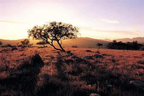 Adelaide To Coober Pedy 7 DAY SMALL GROUP 4WD SAFARI - Accommodation QLD 4