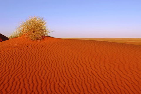 Adelaide To Coober Pedy 7 DAY SMALL GROUP 4WD SAFARI - Accommodation QLD 3