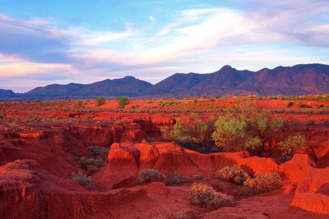Adelaide To Coober Pedy 7 DAY SMALL GROUP 4WD SAFARI - Accommodation QLD 7