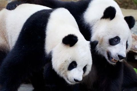 Adelaide City Tour With Optional River Cruise And Adelaide Zoo Admission - Accommodation QLD 1