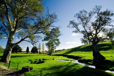 Adelaide Highlights And Hahndorf Tour With Optional River Cruise - Accommodation QLD 0