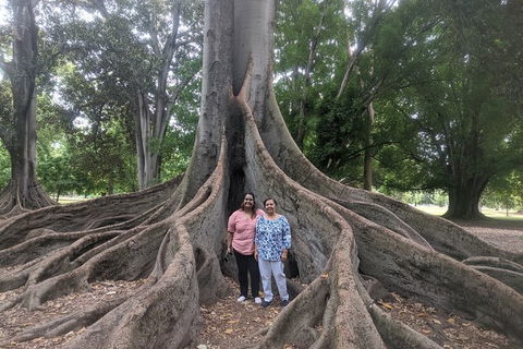 A Taste Of Adelaide And Hahndorf By Car Private Tour. - Accommodation QLD 11