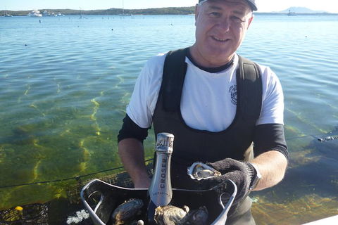 Oyster Farm And Tasting Tour With Hotel Pick-up And Return From Port Lincoln - Accommodation QLD 0