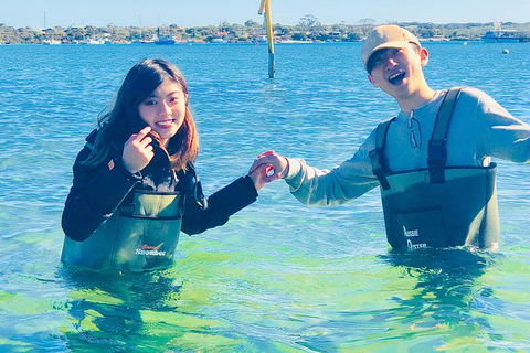 Oyster Farm And Tasting Tour With Hotel Pick-up And Return From Port Lincoln - Accommodation QLD 12