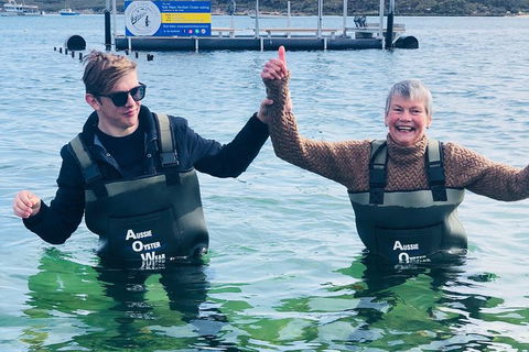 Oyster Farm And Tasting Tour With Hotel Pick-up And Return From Port Lincoln - Accommodation QLD 5