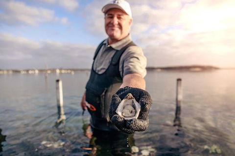 Oyster Farm And Tasting Tour With Hotel Pick-up And Return From Port Lincoln - Accommodation QLD 3
