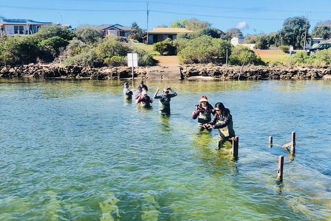Oyster Farm And Tasting Tour With Hotel Pick-up And Return From Port Lincoln - Accommodation QLD 6