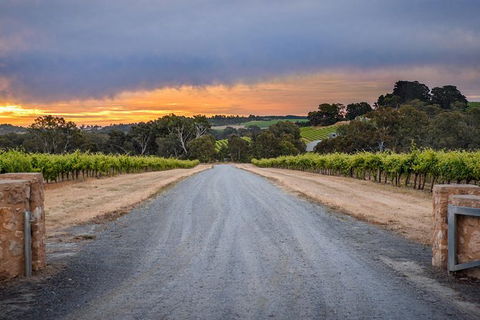 The Ultimate Shottesbrooke Wine & Food Experience - Accommodation QLD 0