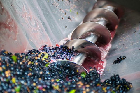 The Ultimate Shottesbrooke Wine & Food Experience - Accommodation QLD 9