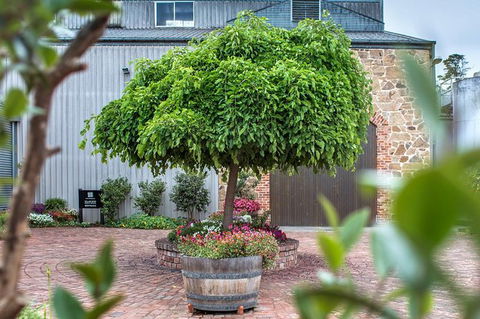 The Ultimate Shottesbrooke Wine & Food Experience - Accommodation QLD 4