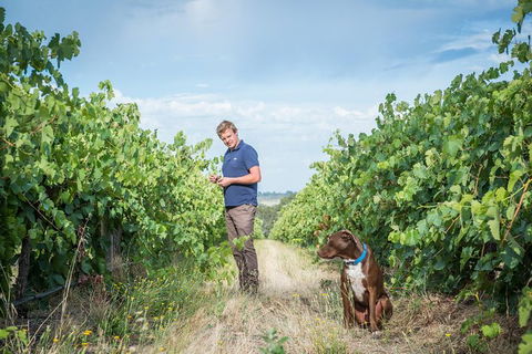 The Ultimate Shottesbrooke Wine & Food Experience - Accommodation QLD 7