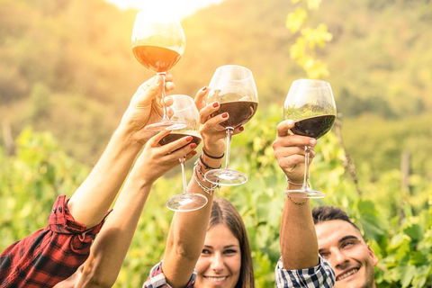 Adelaide Hills Day Tour. Winery Cellar Doors - Accommodation QLD 6