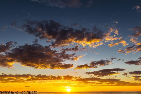 Adelaide Ocean Safari - Twilight Safari - Accommodation QLD 1