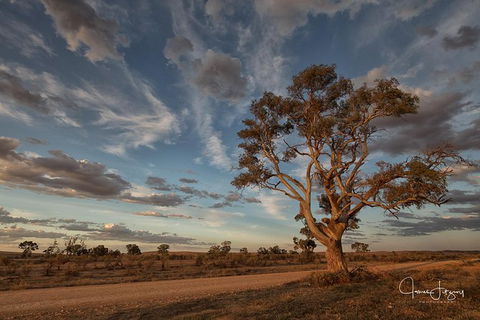 Flinders Ranges Photography Tour - Accommodation QLD 0