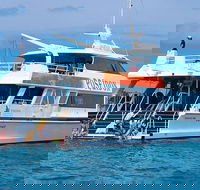 Poseidon Outer Great Barrier Reef Snorkeling and Diving Cruise from Port Douglas - Accommodation QLD