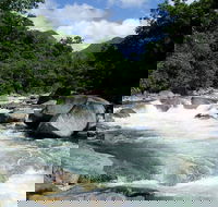 Daintree Rainforest Cape Tribulation Mossman Gorge in a day - Accommodation QLD