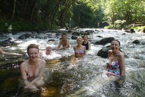 Daintree Rainforest, Cape Tribulation, Mossman Gorge In A Day - Accommodation QLD 10