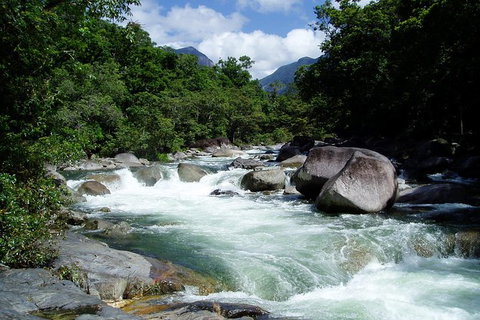 Daintree Rainforest, Cape Tribulation, Mossman Gorge In A Day - Accommodation QLD 2