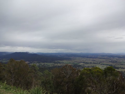Springbrook AndTamborine Rainforest Tour Incl Natural Bridge And Glow Worm Cave - Accommodation QLD 7