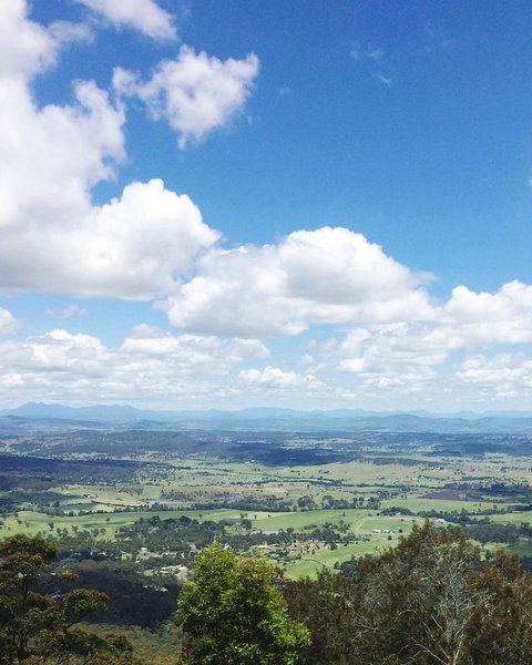 Springbrook AndTamborine Rainforest Tour Incl Natural Bridge And Glow Worm Cave - Accommodation QLD 5