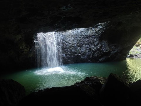 Springbrook AndTamborine Rainforest Tour Incl Natural Bridge And Glow Worm Cave - Accommodation QLD 2