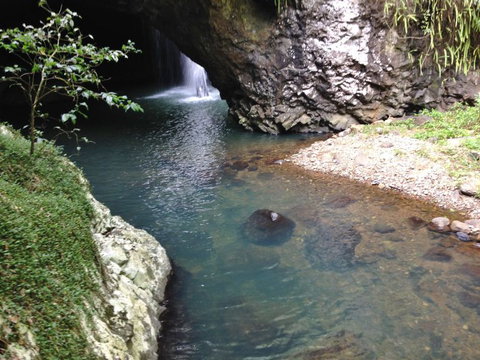 Springbrook AndTamborine Rainforest Tour Incl Natural Bridge And Glow Worm Cave - Accommodation QLD 6