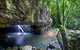 Springbrook AndTamborine Rainforest Tour Incl Natural Bridge And Glow Worm Cave - thumb 0