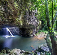 Springbrook andTamborine Rainforest Tour Incl Natural Bridge and Glow Worm Cave - Accommodation QLD