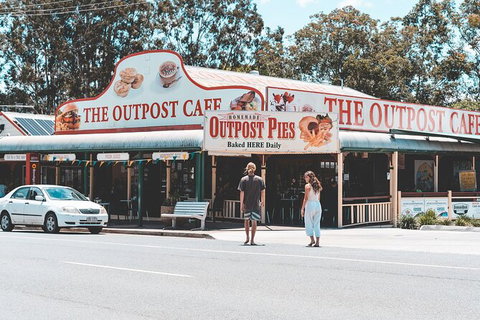 Springbrook AndTamborine Rainforest Tour Incl Natural Bridge And Glow Worm Cave - Accommodation QLD 11