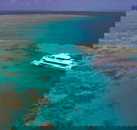 Silversonic Outer Great Barrier Reef Dive and Snorkel Cruise from Port Douglas - Accommodation QLD