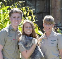 Koala Cuddle Adventure Croc 2 - Accommodation QLD