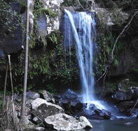 You Choose the Tour Brisbane Private Chauffeur Driven Personal Tour - Accommodation QLD