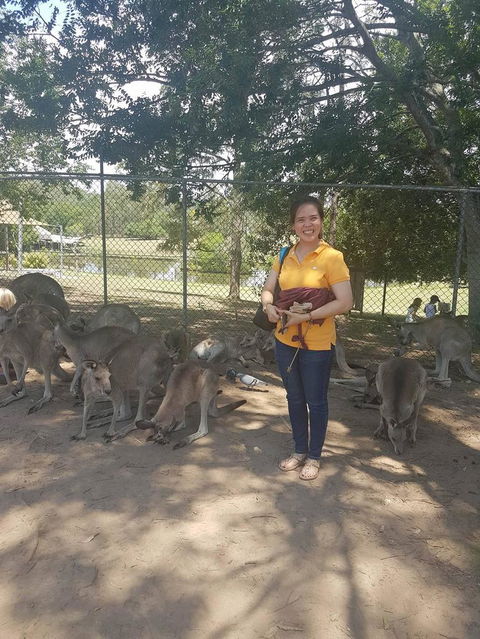 Lone Pine Koala Sanctuary Admission With Brisbane River Cruise - Accommodation QLD 17