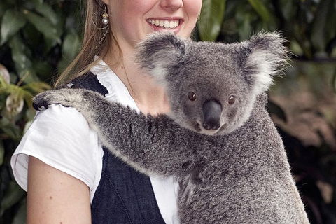 Lone Pine Koala Sanctuary Admission With Brisbane River Cruise - Accommodation QLD 1