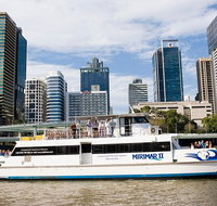 Lone Pine Koala Sanctuary Admission with Brisbane River Cruise - Accommodation QLD