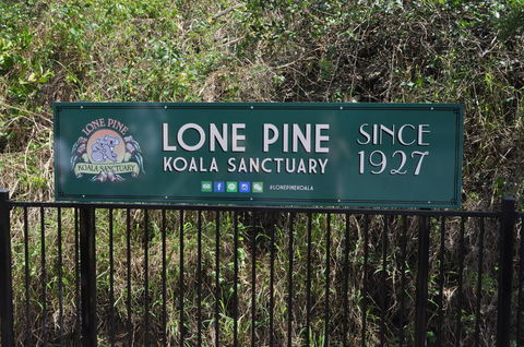 Lone Pine Koala Sanctuary Admission With Brisbane River Cruise - Accommodation QLD 7