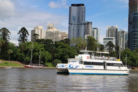Lone Pine Koala Sanctuary Admission With Brisbane River Cruise - Accommodation QLD 32