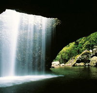 World Heritage Springbrook National Park Tour Including Natural Bridge - Accommodation QLD
