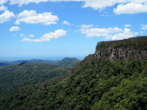 Springbrook National Park Discovery Full-Day Bushwalking Tour - Accommodation QLD 10