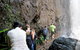 Springbrook National Park Discovery Full-Day Bushwalking Tour - thumb 11