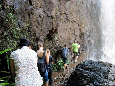 Springbrook National Park Discovery Full-Day Bushwalking Tour - Accommodation QLD 11
