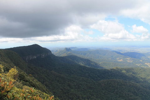 Springbrook National Park Discovery Full-Day Bushwalking Tour - Accommodation QLD 3